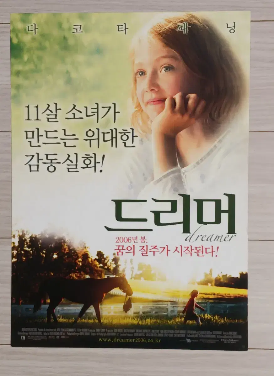 타코타패닝 드리머(2005년)전단지